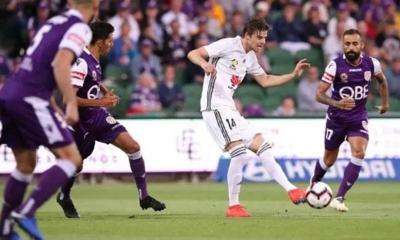 Tổng quan về trận đấu Perth Glory gặp Wellington Phoenix FC