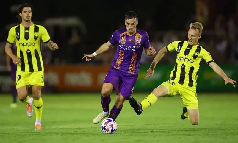 Phân tích số liệu thống kê về Perth Glory gặp Wellington Phoenix FC